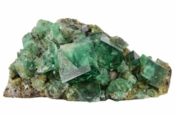 Fluorite Crystal Cluster with Galena- Rogerley Mine #132981
